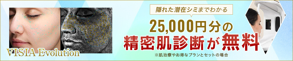 肌診断機 VISIA Evolutionページへの導線
