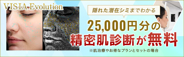 肌診断機 VISIA Evolutionページへの導線