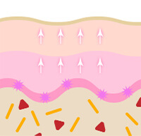 新陳代謝により、皮膚の奥に隠れたシミを体外へ排出