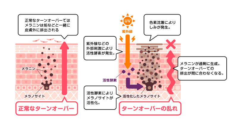 健康肌でメラニンと正しい付き合い方