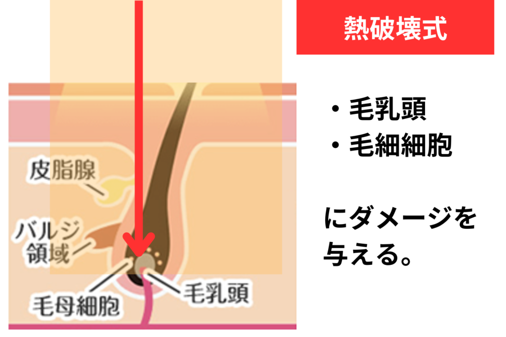 熱破壊式の仕組み