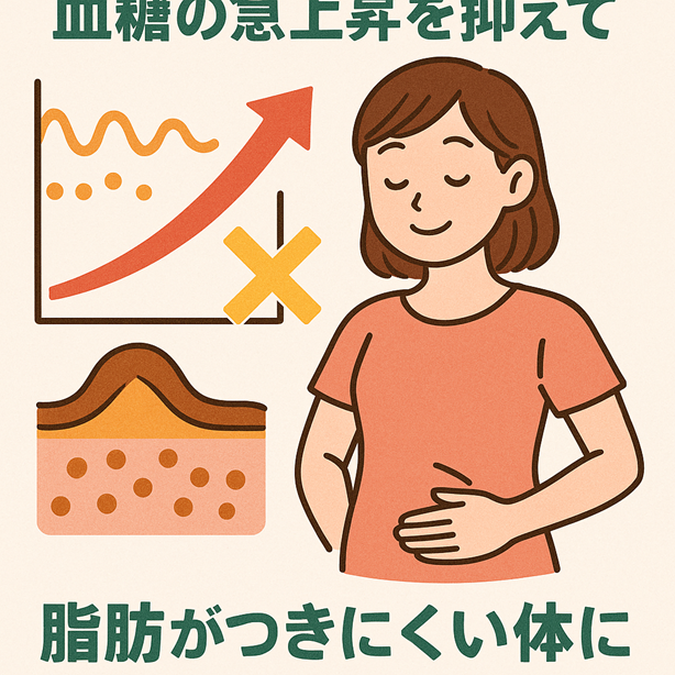 1.血糖の急上昇を抑えて、脂肪がつきにくい体に