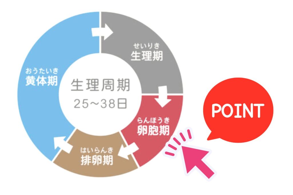 脱毛に最適なタイミングは生理後3日~排卵まで