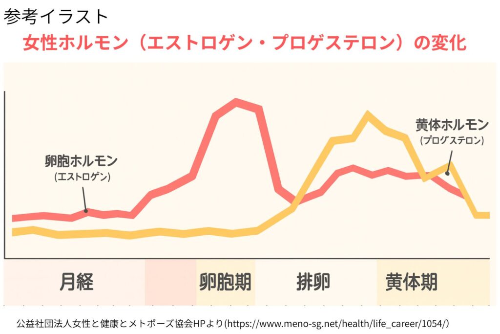 妊娠性肝斑が増える仕組み