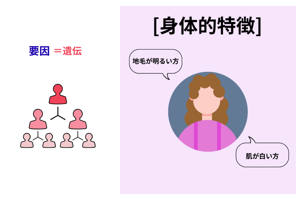 そばかすができやすい人の特徴と体質の関係