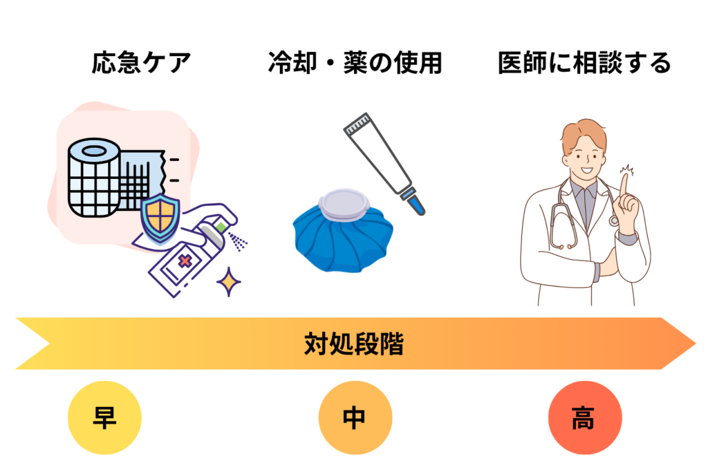潰してしまった時の正しい対処法