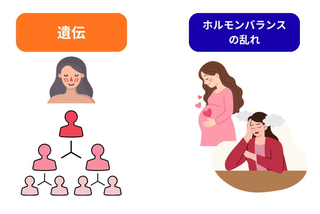 遺伝やホルモン変動