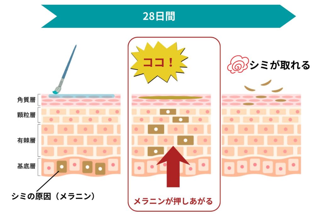 改善途中で一時的に濃く見える前兆