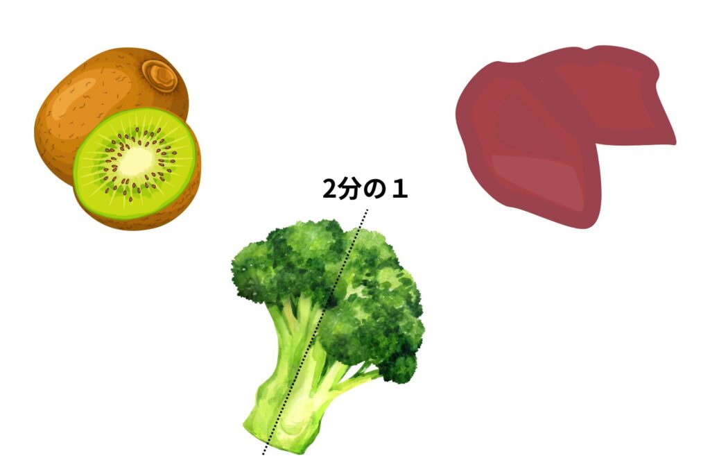 栄養とビタミン摂取