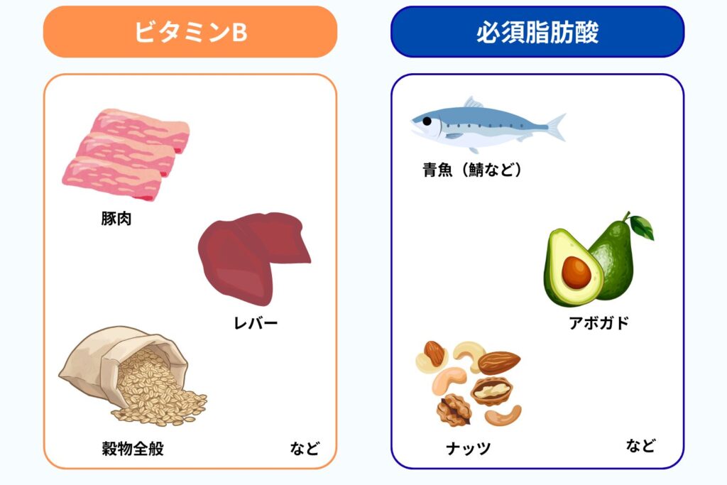 皮脂分泌を整える栄養素