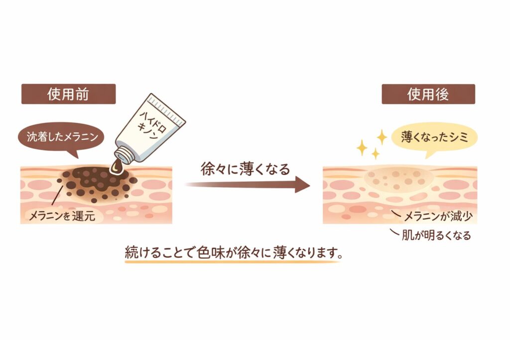 沈着した色を薄くする働き