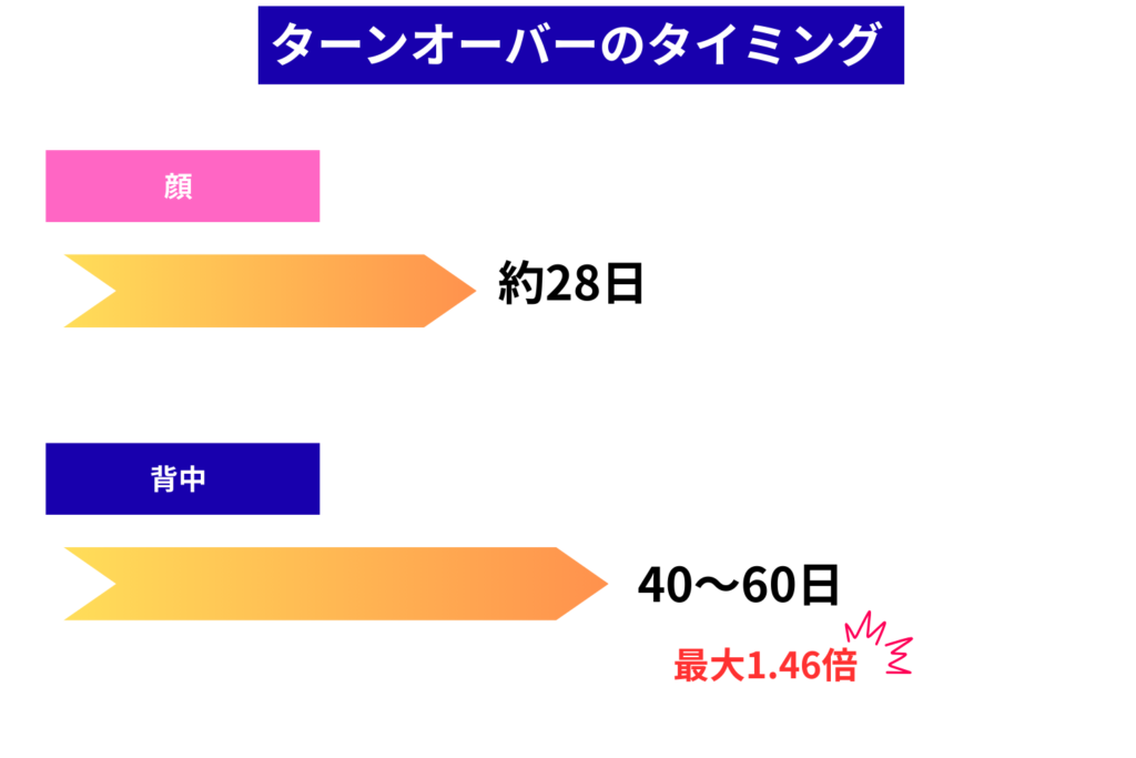 背中はターンオーバーが遅く排出に時間がかかる