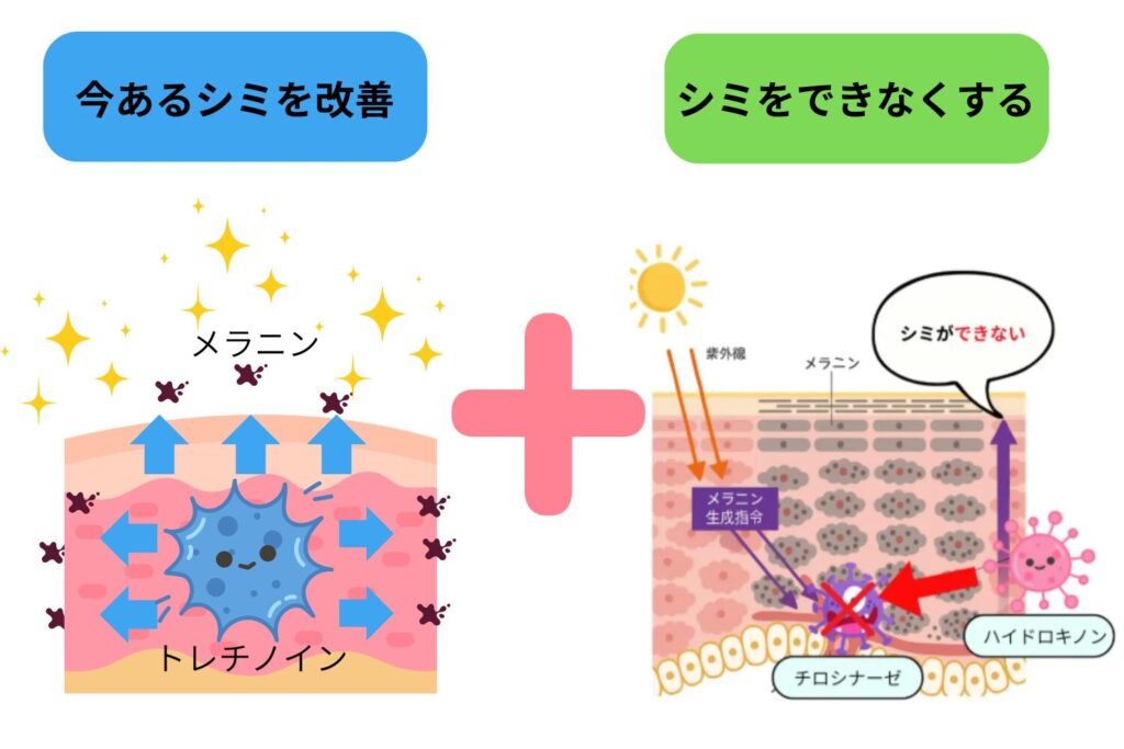 併用療法が選ばれる理由は「追い出す×作らせない」
