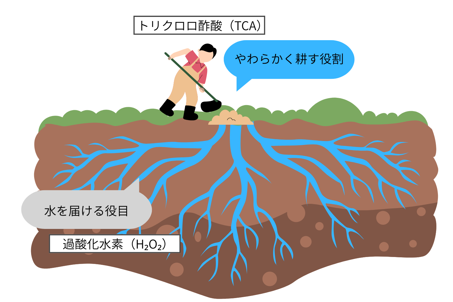 トリクロロ酢酸と過酸化水素による独自の相乗効果