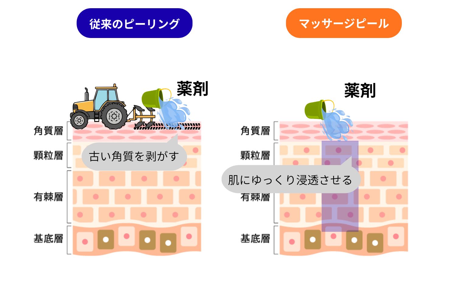 従来のピーリングと異なる「剥離させない」高い安全性