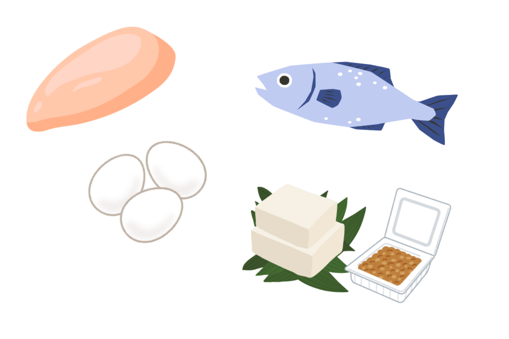 食事からたんぱく質を摂る