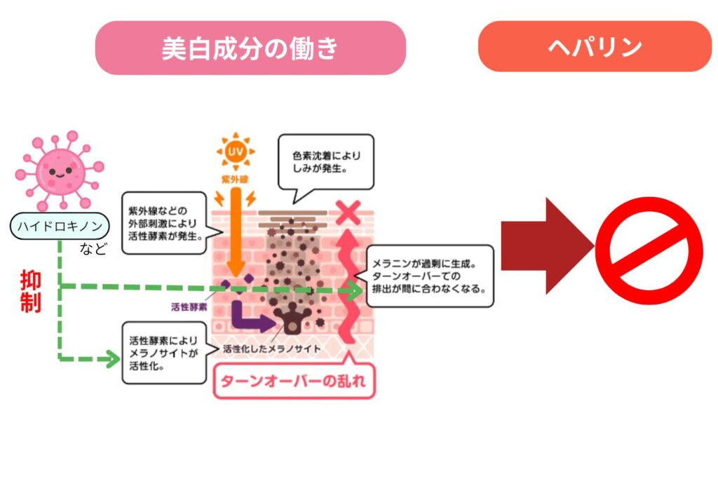 ヘパリン類似物質にシミ改善の効果は期待できる？