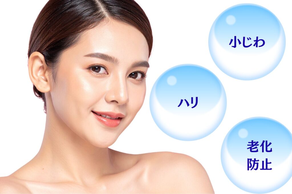 肌の弾力を守るコラーゲン合成と細胞レベルの抗酸化サポート