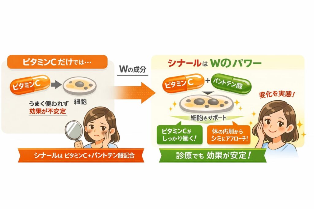 アスコルビン酸とパントテン酸が果たす医学的な相乗効果