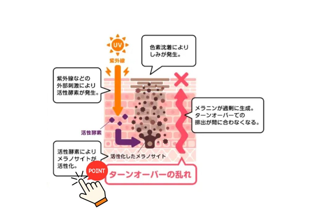 メラニンの生成を抑える成分の考え方