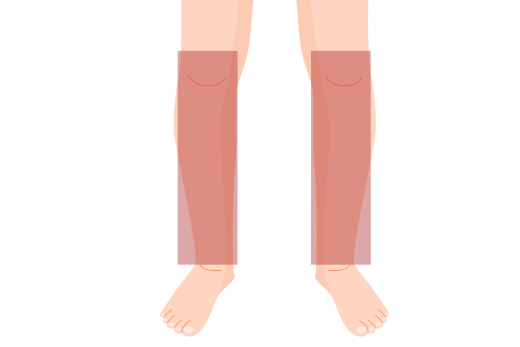 すね毛脱毛の施術範囲