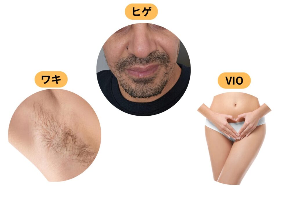 部位による違い