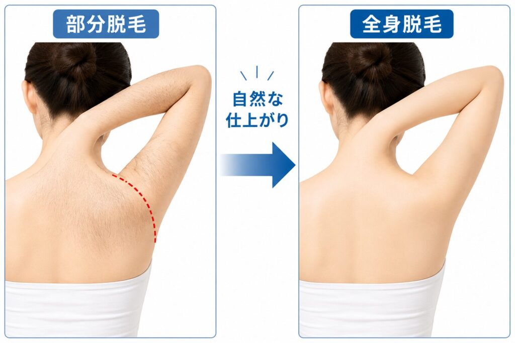 毛の境目が目立ちにくい