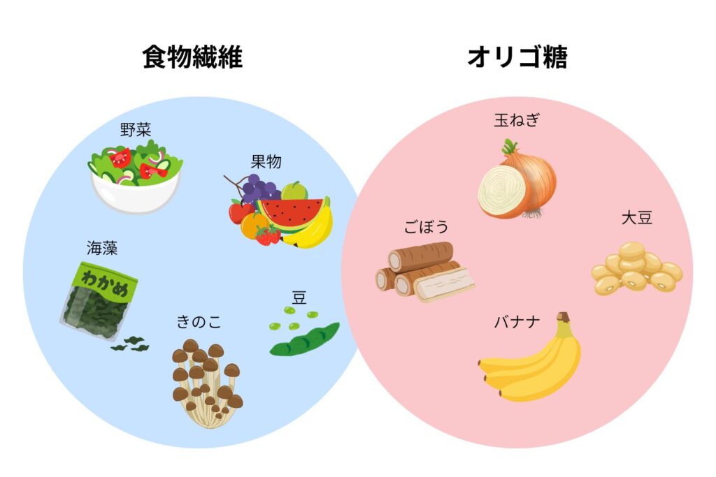 食物繊維やオリゴ糖をとる