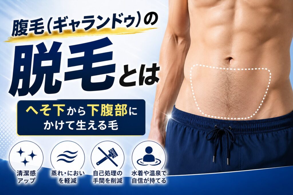 腹毛（ギャランドゥ）の脱毛とは