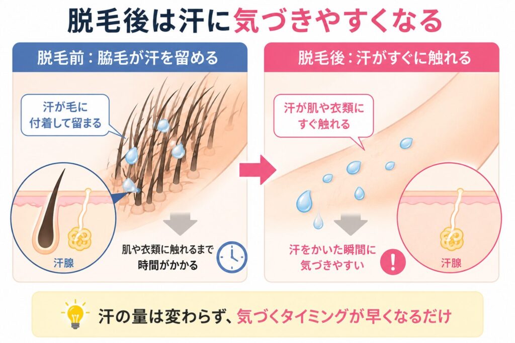 脇汗が増えたと感じる原因