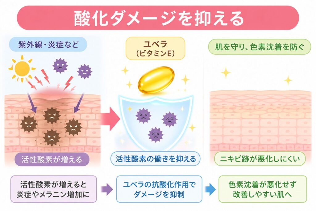酸化ダメージを抑える
