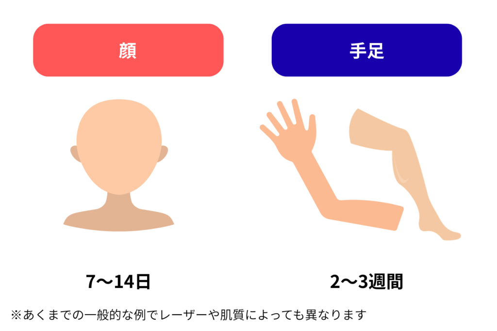 顔と手足では回復するまでの期間が異なる