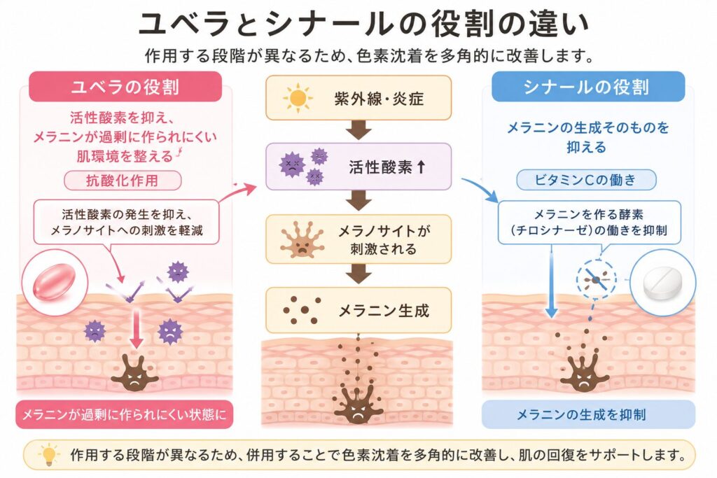 シナール