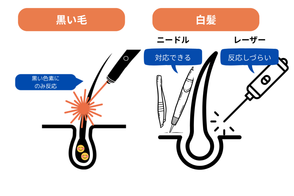 対応できる毛質・毛色