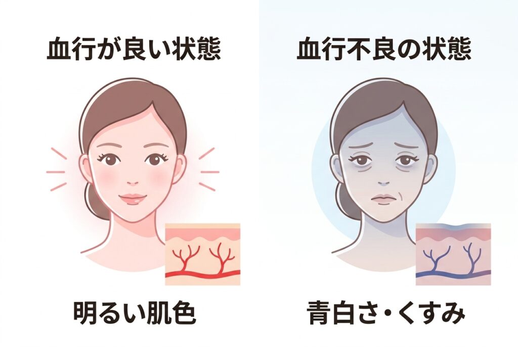 血行不良