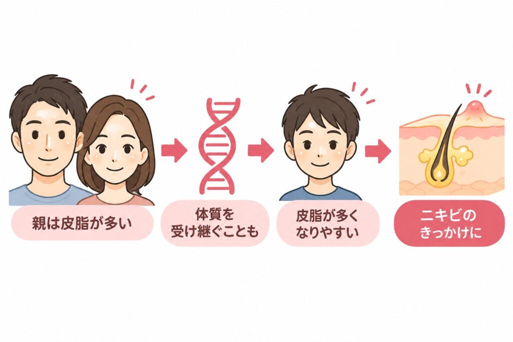 皮脂の分泌量は遺伝が関係することがある