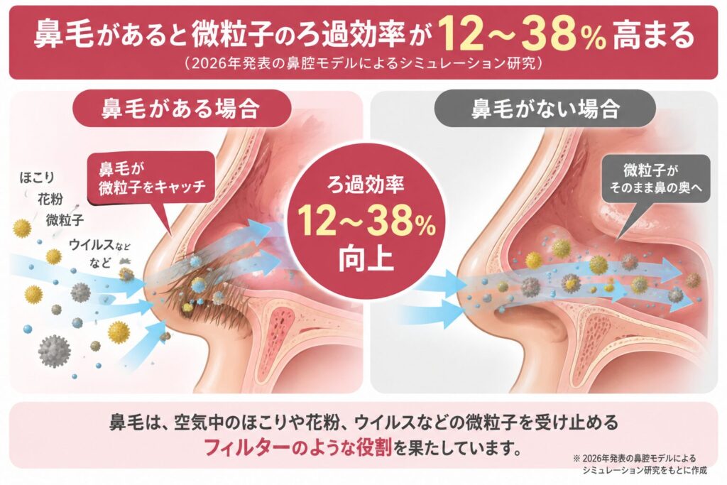 鼻毛の役割