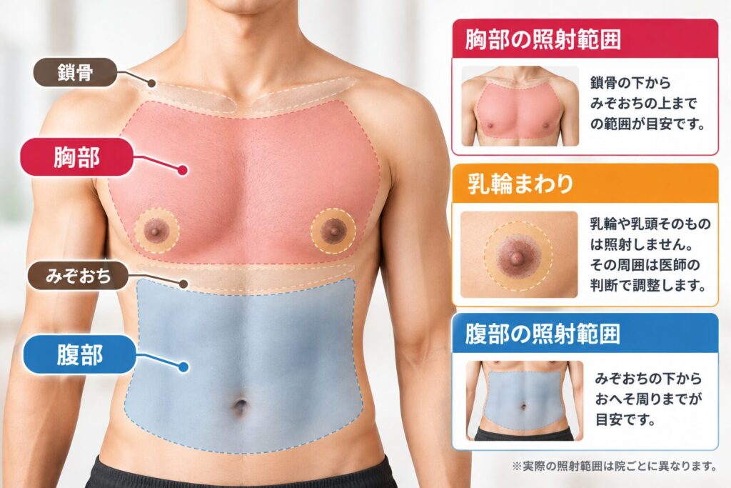 一般的な範囲は鎖骨の辺りからみぞおちの上まで