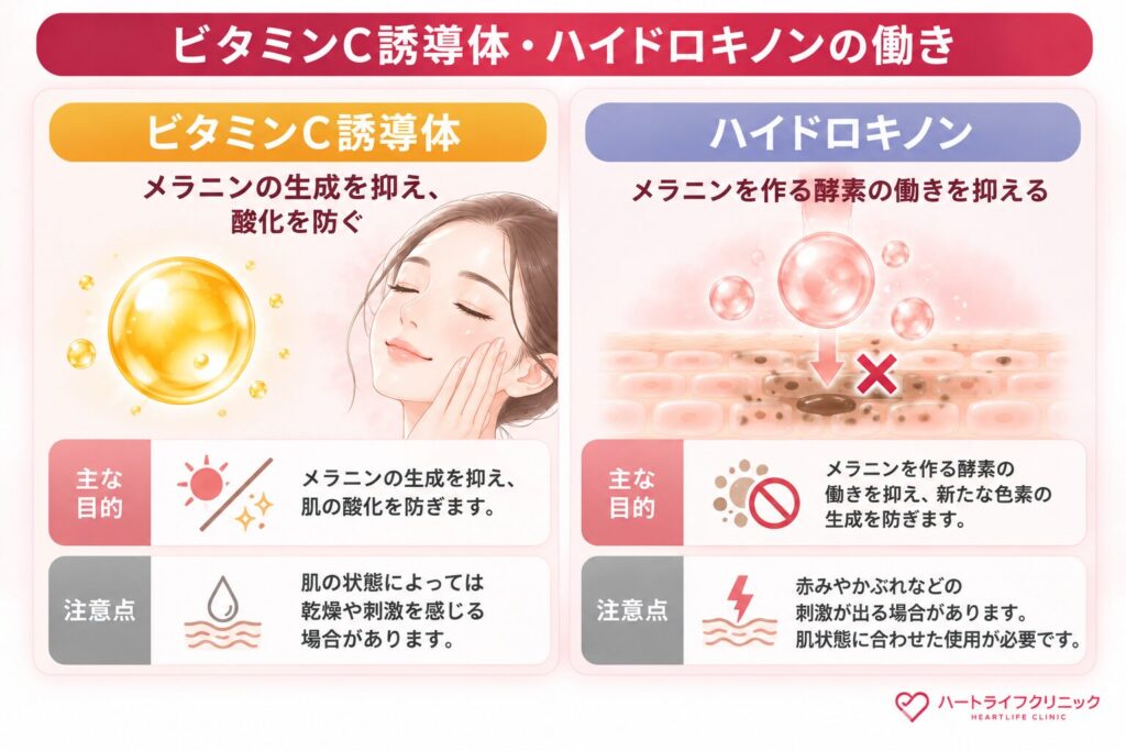 ビタミンC誘導体・ハイドロキノン：メラニン生成を抑え、酸化を防ぐ